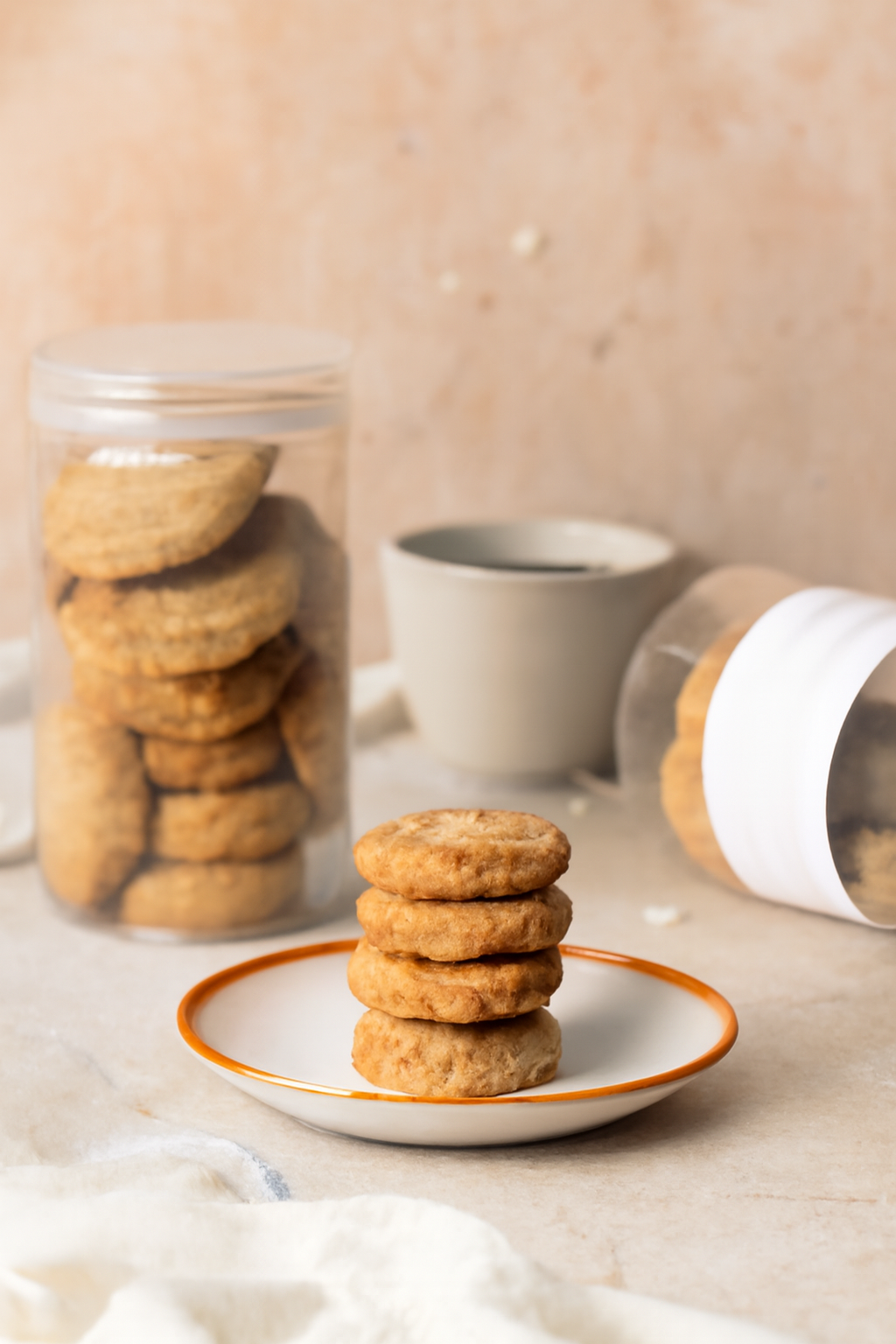 OATS N RAISIN COOKIES (250 g)